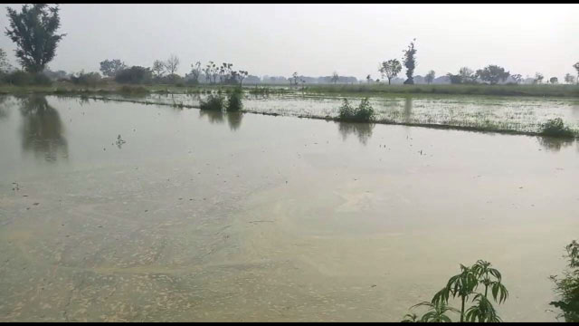 Crops Submerged