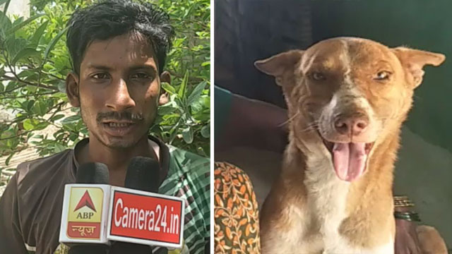 Dog saved Owner's Life