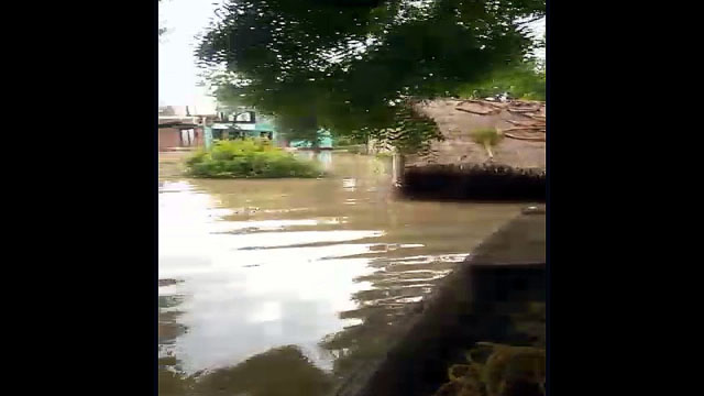 Bhind Flood