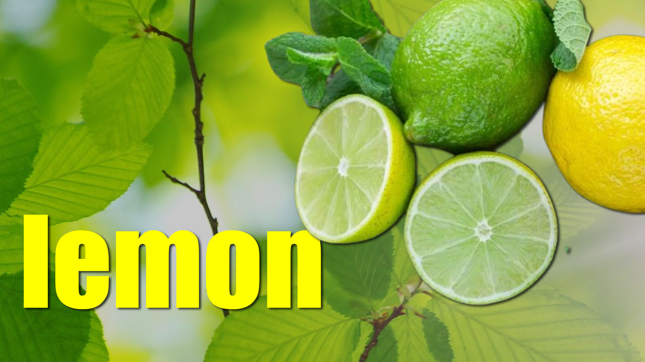 lemon substitue