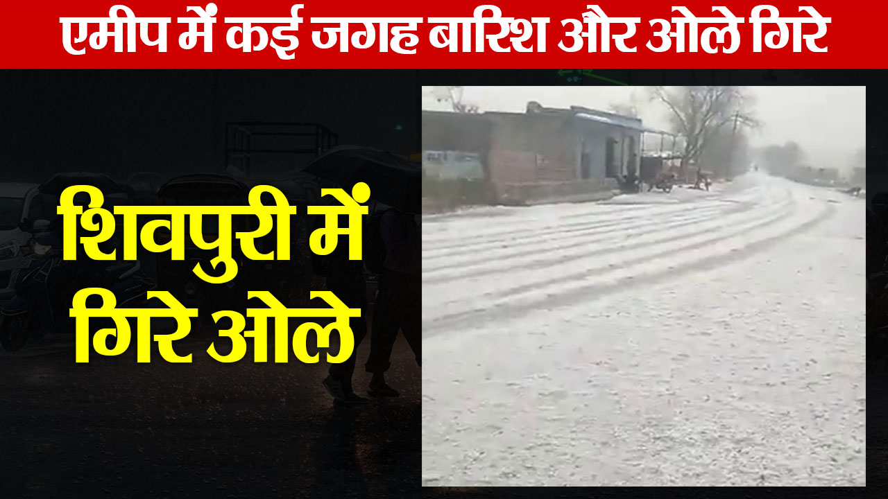 mp rain alert heavy rain and Hail fell in Shivpuri district