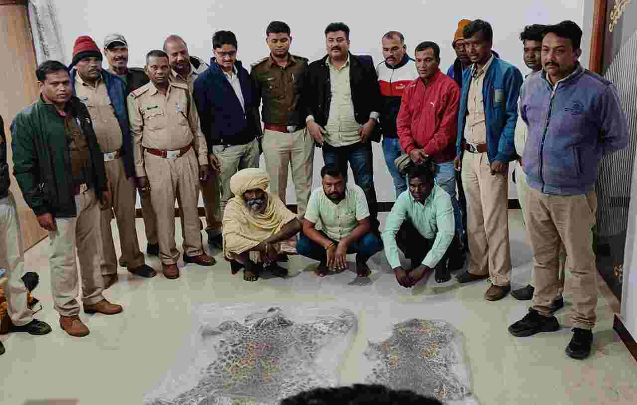 3 Detained With 2 Leopard Skins in Chhindwara
