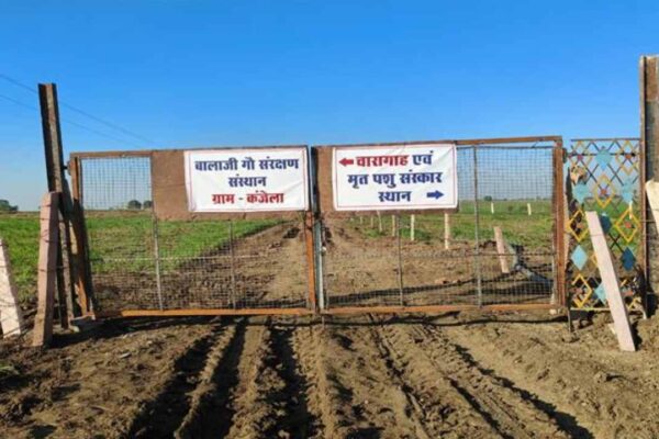 vidisha-dm-takes-new-intiatives-for-cow-sheds