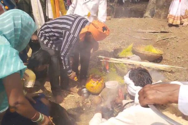 Gosai Samaj Jaware Visarjan celebration in Chhindwara