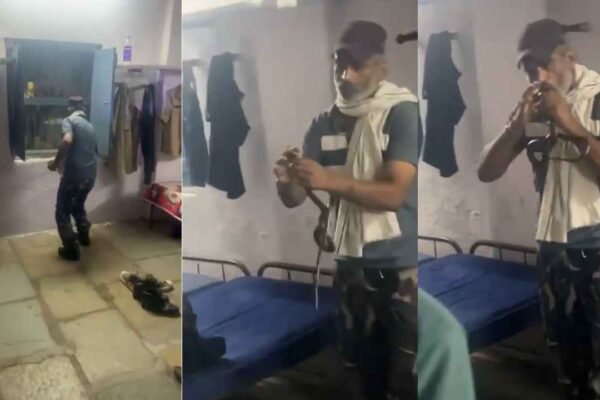 Indore Snake Catcher